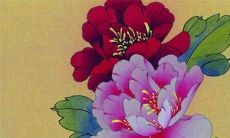 2022年属虎的有横财吗 属虎人本命年在财运上要注意什么