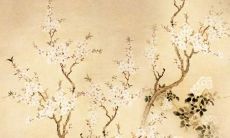 属蛇人2022年运势及每月运程 2022年属蛇人的全年运势详解