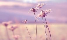 男人嘴小的命运怎么样 男人嘴小薄是什么面相