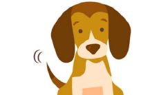 1982年出生40岁生肖狗女2021年运势 82年今年运气如何