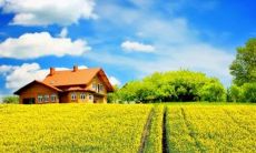 结婚5年是什么婚 结婚5年是什么婚送什么花