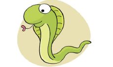 出生于1965年属蛇人2021年命运如何 适合佩戴什么吉祥物