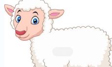 1991年属羊什么时候结婚好 1991年属羊哪年结婚好