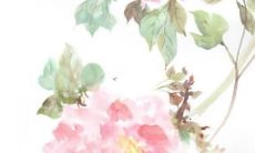 女孩生辰八字取名字怎么样