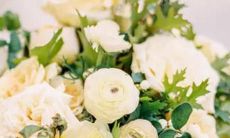 贝拉谈水瓶座性格与爱情适配