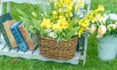 上升星座：准确解释个性