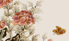 好听的网络直播名字