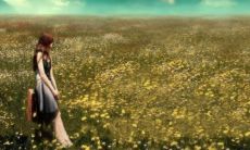 羊和兔相克还是相冲 羊和兔相配婚姻如何