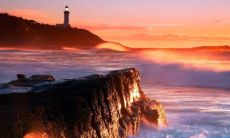 狗虎婚配的婚姻如何 狗虎生什么宝宝最好