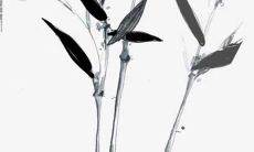 姓沈的好听名字