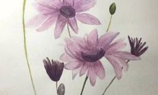 属虎起名宜用偏旁部首