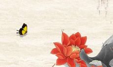 属龙人2022几月犯桃花劫 2022年属龙人犯桃花的月份