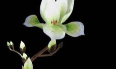 2022羊的运势1979