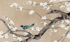 麦玲玲属鼠2023年运势