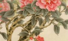 1983年属猪未来5年运势 83年属猪人未来运势分析