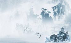 属虎穿什么衣服最旺盛 适合属虎人穿的衣服颜色