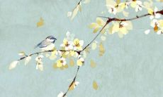 属牛人哪些年犯太岁