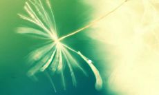 嘴唇薄的人薄情是真的吗 嘴唇薄的女人旺夫吗