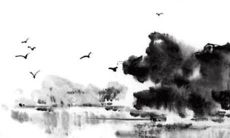 2023年属蛇终于转运了 2023年属蛇运势如何