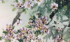 二婚属马的今年能有婚姻吗 适合婚配的对象都有谁