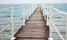 梦见甲鱼好不好