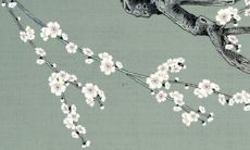 97男牛2022年运势完整版