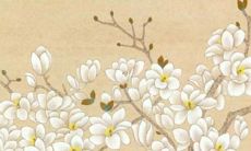 属猪人的2022年全年运势