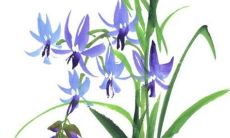 属猴的在2023年运势