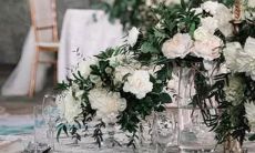 星座 飞入 宫位