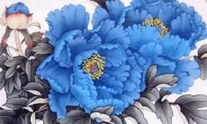 好听的养殖合作社名字