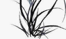 女孩的名字2022年出生