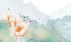 双子座生日密码配对