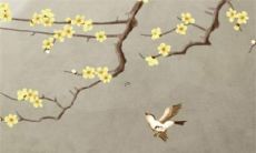 男天蝎射手座和女白羊金牛座配对