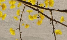 93年属鸡水瓶女2022年运势