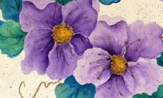 2023年兔子值太岁