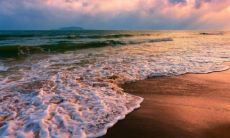 54属马最难熬的年龄 54属马男人一生命运