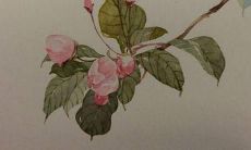 唯美好听的名字