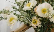 十二星座里谁最会卖萌