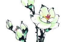 属羊起名字大全男孩