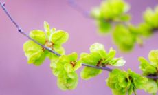 梦见老公有外遇自己哭 梦见老公和别的女人在一起