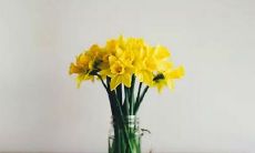 2019年阴历七月初二烧香拜拜祈福合适吗,今天卦象如何？