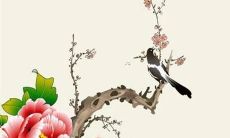 狗与属鼠2023结婚好