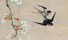 2022年全年运势及运程属鸡