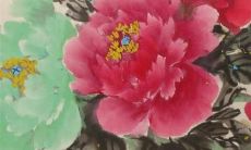 77年狗2022年的运势