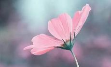 梦见自己头部受伤