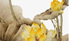 虎年2月女宝宝取什么名字好