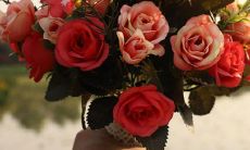 十二星座吃过的苦里最没价值的是什么？