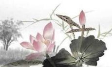 2023年属羊人婚姻运势怎么样