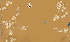 82年属狗人哪一年走大运 82年属狗未来运势如何