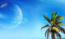 天后灵签解签大全 天后灵签50签